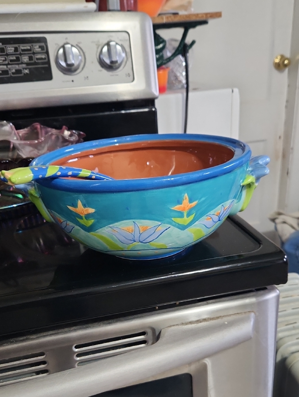Colourful  Ceramic Bowl With Ladel